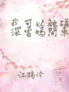 我可以触碰你的深处吗开车作文