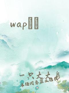 wapС˵