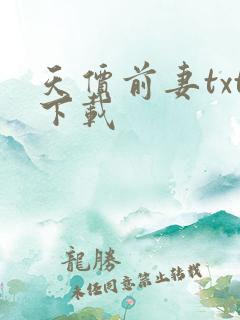 天价前妻txt下载