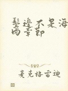 鬓边不是海棠红肉章节