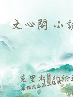 文心阁 小说