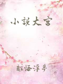 小说大宫