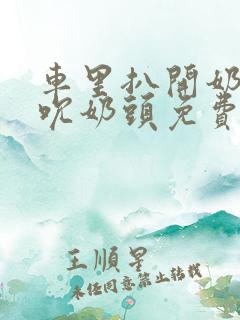 车里扒开奶罩揉吮奶头免费A片