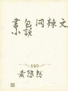 书包网辣文全本小说