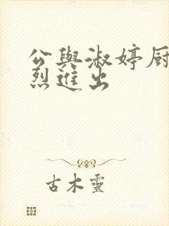 公与淑婷厨房猛烈进出