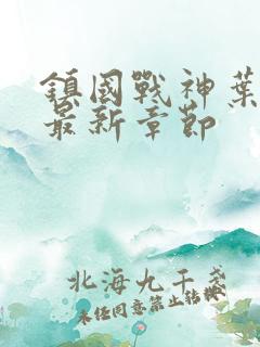 镇国战神叶君临最新章节