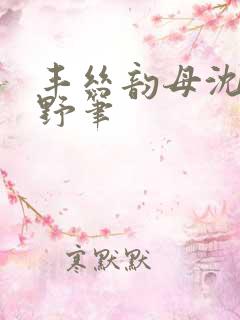 丰丝韵母沈蓉书野笔