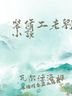 装修工老刘林雪小说