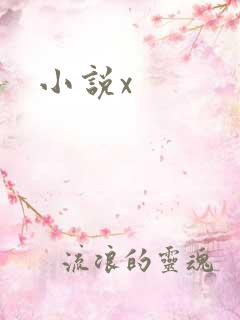小说x