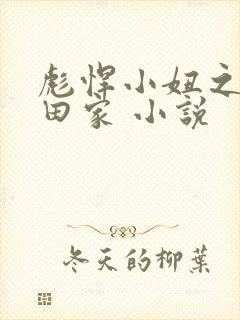 彪悍小妞之鱼水田家 小说