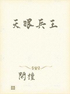 天眼兵王