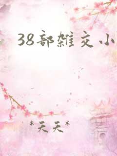 38部杂交小说