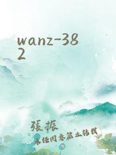 wanz-382
