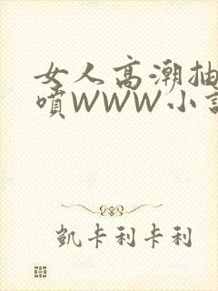 女人高潮抽搐潮喷WWW小说