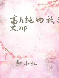 高h纯肉放荡h文np
