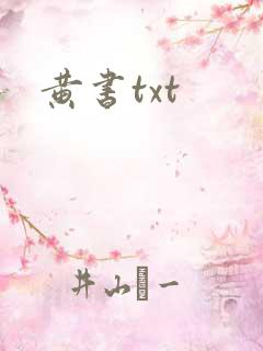 黄书txt