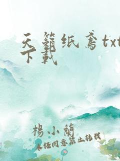 天籁纸鸢txt下载
