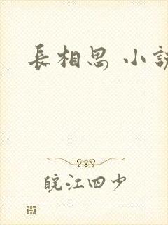 长相思 小说