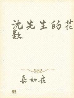 沈先生的花式调数