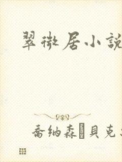 翠微居小说