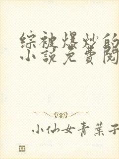 综被爆炒的日常小说免费阅读