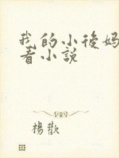 我的小后妈免费看小说