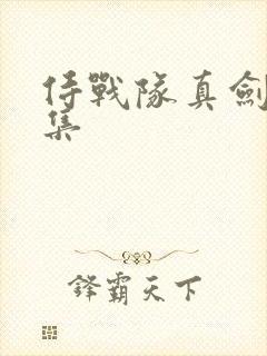 侍战队真剑者全集