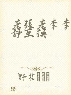 老张老李李娴张静互换