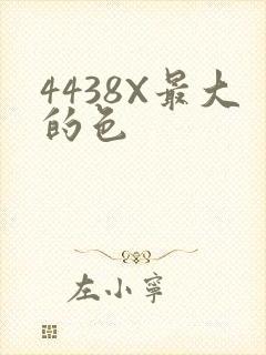 4438X最大的色