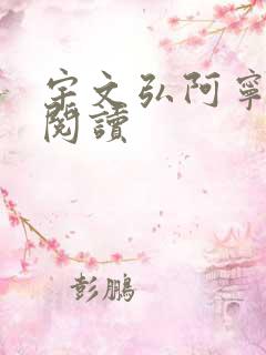 宇文弘阿宁全文阅读