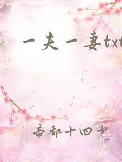 一夫一妻txt