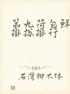 第九荷包鲜辣肉排总排行