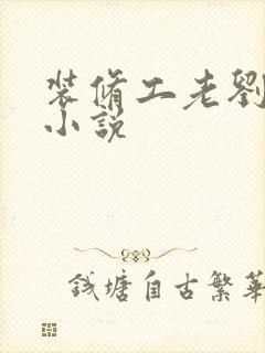 装修工老刘林雪小说