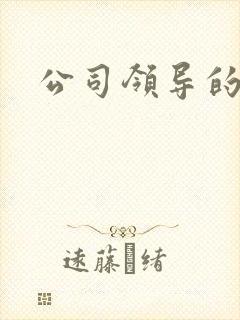 公司领导的老婆