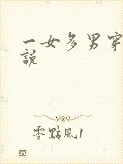 一女多男穿越小说