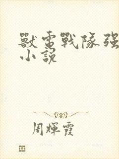 兽电战队强龙者小说