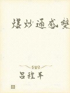 爆炒通感双胞胎