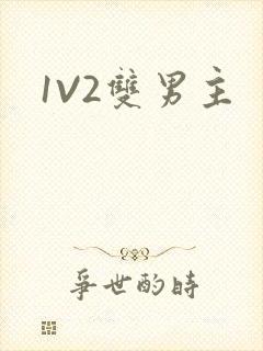 1V2双男主