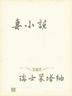 妻小说