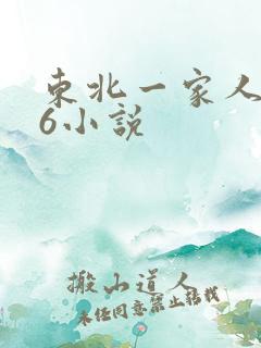 东北一家人1一6小说