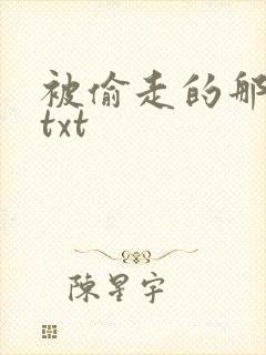 被偷走的那五年txt