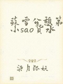 苏雪公憩第一章小sao货水