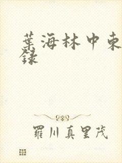 叶海林中东风云录