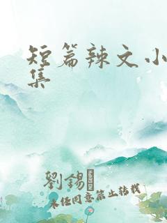 短篇辣文小说合集