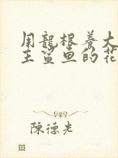 用龙根养大的公主鲨鱼的花