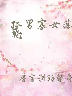 孤男寡女落瑛纷飞