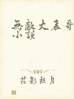 无敌大表哥萧天小说