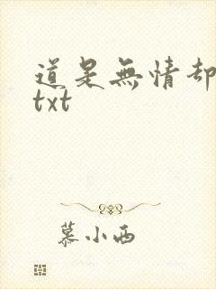 道是无情却有情txt