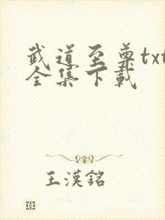 武道至尊txt全集下载