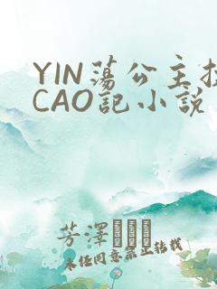 YIN荡公主挨CAO记小说